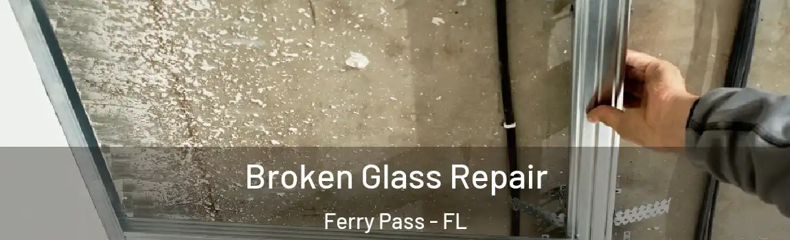 Broken Glass Repair Ferry Pass - FL