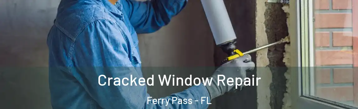 Cracked Window Repair Ferry Pass - FL