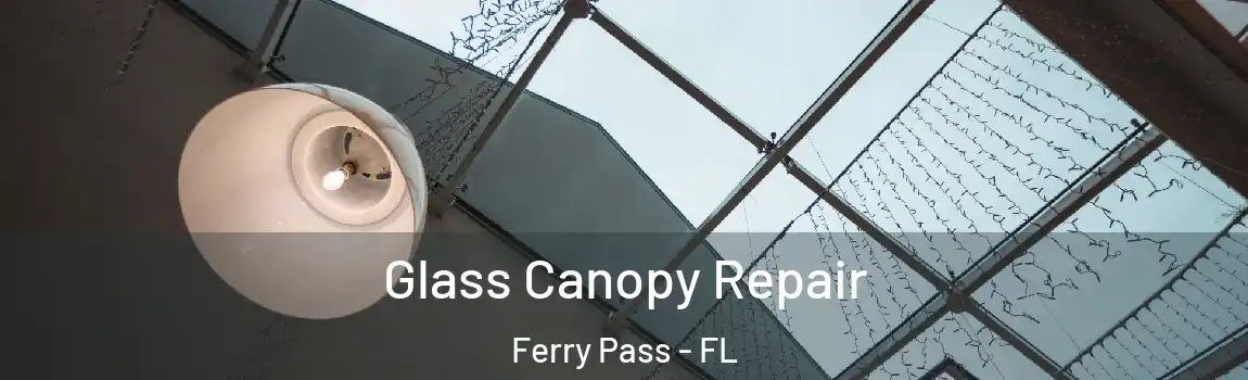 Glass Canopy Repair Ferry Pass - FL
