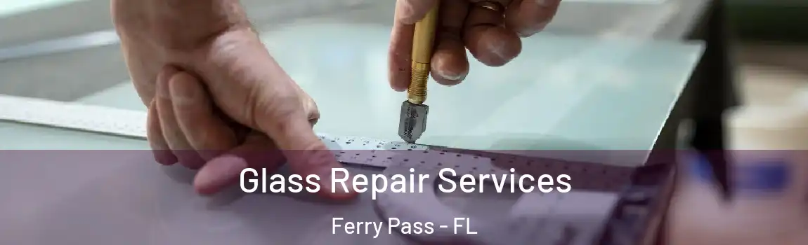 Glass Repair Services Ferry Pass - FL