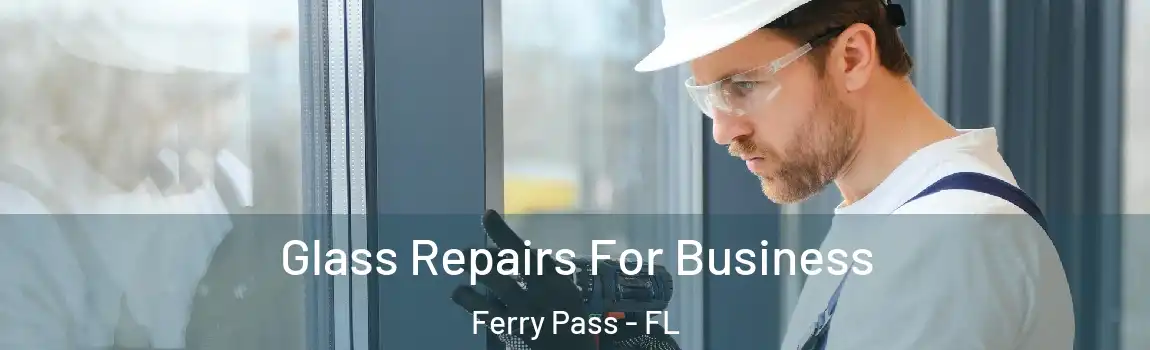 Glass Repairs For Business Ferry Pass - FL