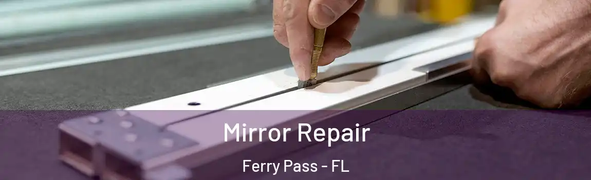 Mirror Repair Ferry Pass - FL