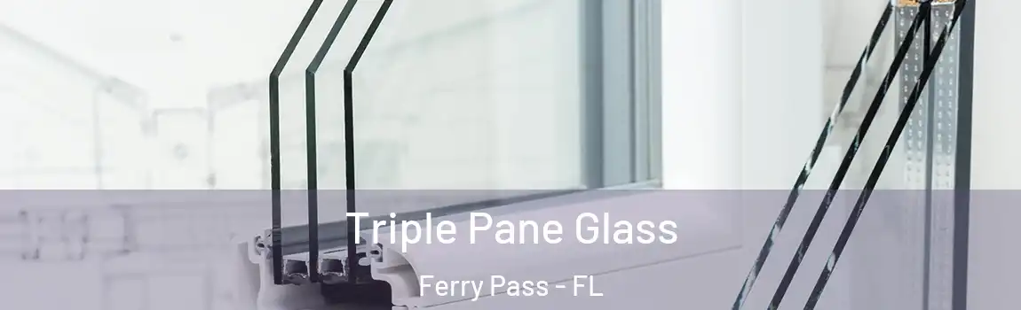Triple Pane Glass Ferry Pass - FL