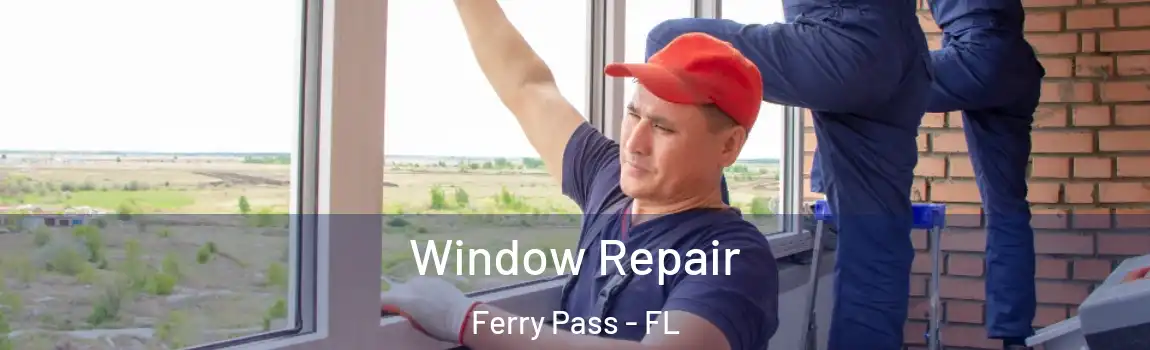 Window Repair Ferry Pass - FL