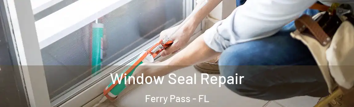Window Seal Repair Ferry Pass - FL